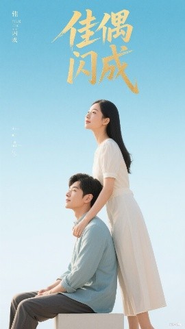 佳偶闪成  假婚真爱高清海报