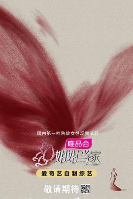 姐姐当家高清海报