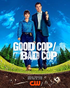 好警察/坏警察高清海报
