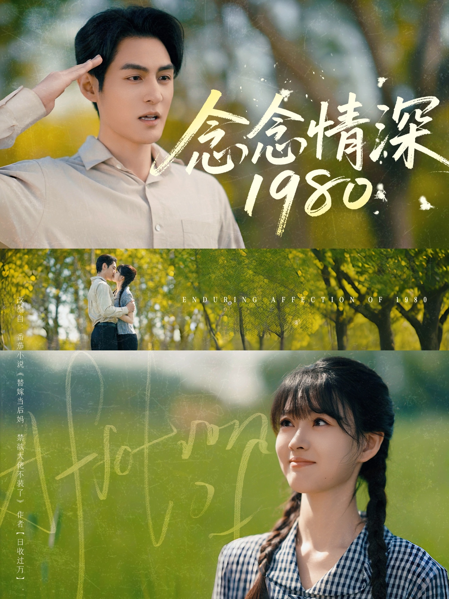 念念情深1980高清海报