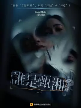 谁是甄湘高清海报