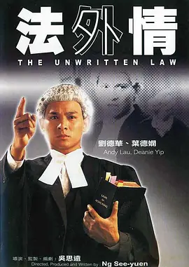 法外情高清海报