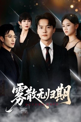 雾散无归期高清海报