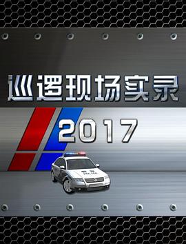 巡逻现场实录2017高清海报