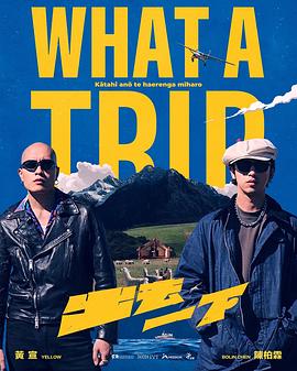 出去一下 What A Trip高清海报