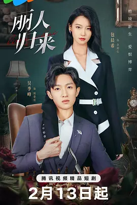 丽人归来高清海报