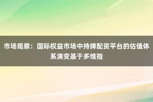 市场观察：国际权益市场中持牌配资平台的估值体系演变基于多维指