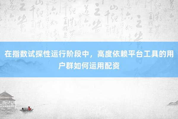在指数试探性运行阶段中，高度依赖平台工具的用户群如何运用配资
